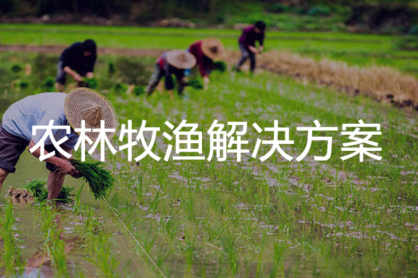 农林牧渔行业SEM运营解决方案